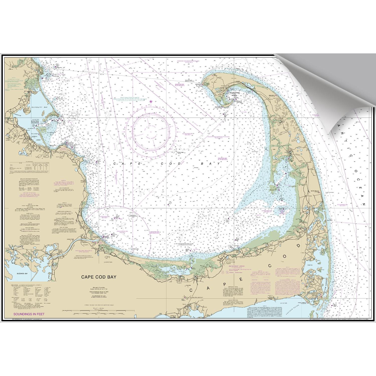 MAPTECH Cape Cod Bay Decorative Nautical Chart