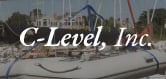 C-LEVEL